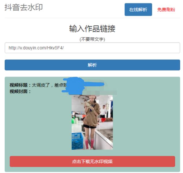 抖音在线去水印网站PHP源码-源码网